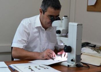 Ege Bölgesi’nde 8 yeni kekik türü keşfedildi