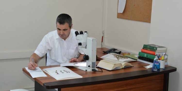 Balıkesir’de 8 yeni bitki türü keşfedildi