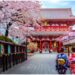 Japonya’dan dev turizm hamlesi: Turistler yüzde elli daha az ödeyecek