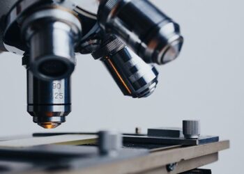 Biyologlar, kısırlığa çare olabilecek yeni bir üreme hormonu keşfetti