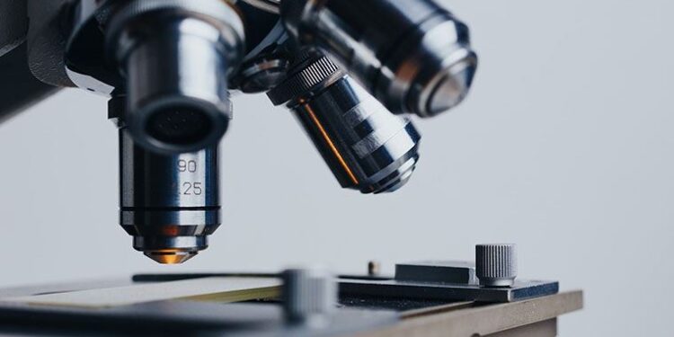 Biyologlar, kısırlığa çare olabilecek yeni bir üreme hormonu keşfetti