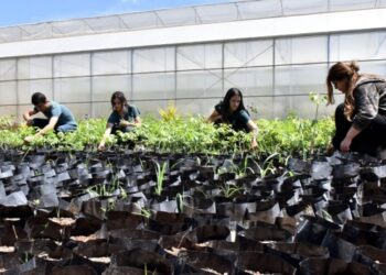 Akıllı Tarım Atölyeleri gençlere tarımı sevdirecek