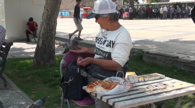 Güvercinleri her gün eliyle besliyor