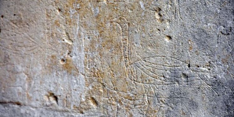 500 yıl önce çizilmişti… Hayat buldu