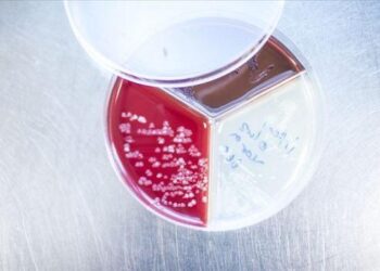 Türk bilim insanlarından Kovid-19 araştırmalarına katkı verecek yeni keşif