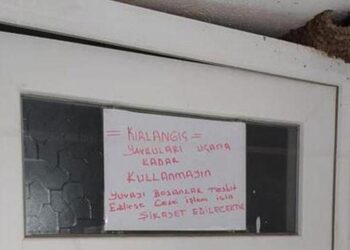 Kırlangıçlar cami tuvaleti kapısına yuva yaptı, mahalleli önlem aldı