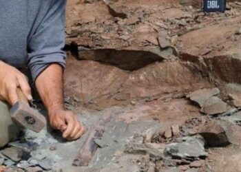 Arjantin’de 10 metrelik dev dinozor fosili bulundu