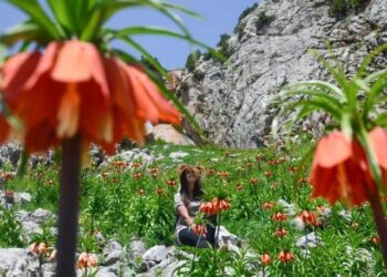 İki hafta yaşayabiliyor… Görsel şölen sunuyor