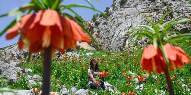 İki hafta yaşayabiliyor… Görsel şölen sunuyor