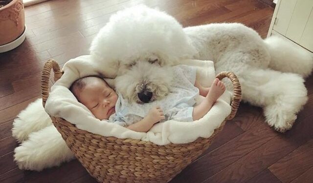 Sosyal medyayı sallayan dostluk