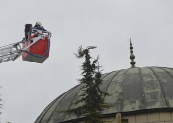 Leyleğe yeni yuva yaptılar, camiye yerleştirdiler