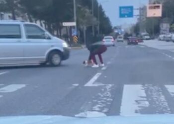 Trafiğin ortasında kalan yavru köpeğin hayatını kurtardı