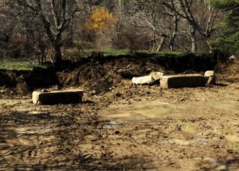 Çiftçinin tarlasında Roma dönemine ait eserler bulundu