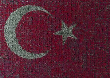 Türk Bayrağı temalı laleler rekor kırdı