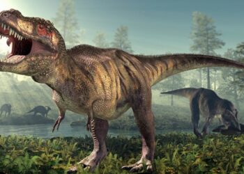 Bilim insanları dinazor kafatasında DNA izleri buldu