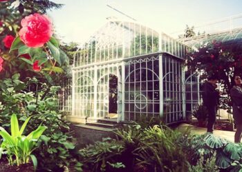 2. Abdülhamid’in serasında çiçekler açtı