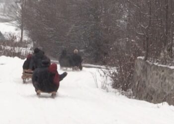 Artvin’de köylülerin kızak keyfi