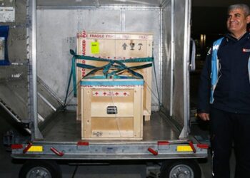 Yurt dışına kaçırılan iki kültür varlığı Türkiye’de