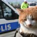 Samsun’da polislerin maskotu ‘Cemşit’