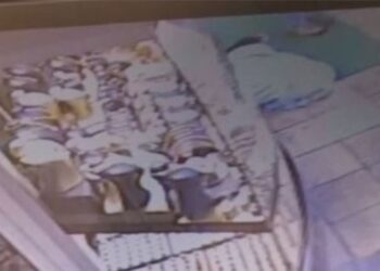 Hayvansever üşüyen köpeğin üzerini battaniyeyle örttü