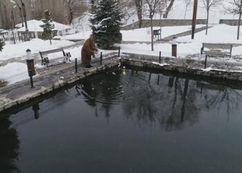 Erzurum’un soğuklarda donmayan gölü
