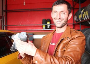 Oltu Çayı’na düşen güvercini halatla inerek kurtardı