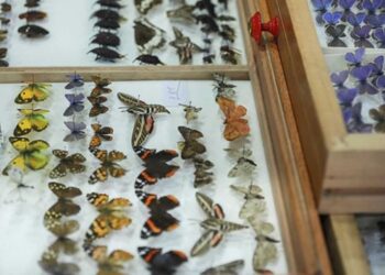 Erzurum’un Biyoçeşitlilik Bilim Müzesi