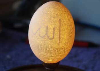 11 bin 827 delik işlediği yumurta kabuğuyla rekor kırdı