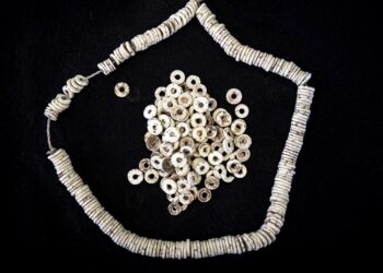 Afrika’da 50 bin yıllık “sosyal ağ” keşfedildi