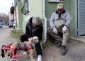Adını Şans koydukları engelli köpeğe çocuğu gibi bakıyorlar