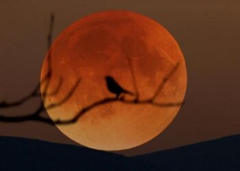 ‘Süper Kanlı Mavi Ay Tutulması’ görsel şölen oluşturdu