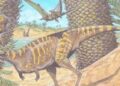 Brezilya’da dişsiz bir dinozor kalıntısı keşfedildi