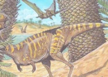 Brezilya’da dişsiz bir dinozor kalıntısı keşfedildi