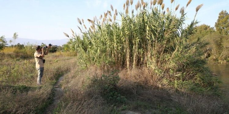 14 yaşından beri yapıyor! 4 türü kayıt altına aldı