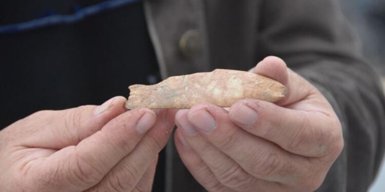 8 bin yıl öncesine ait ‘balık’ figürü bulundu: ‘Daha önce benzerine rastlanmadı’