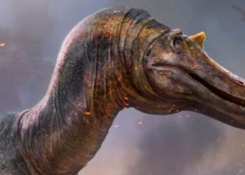 İngiltere’de yeni dinozor türleri bulundu