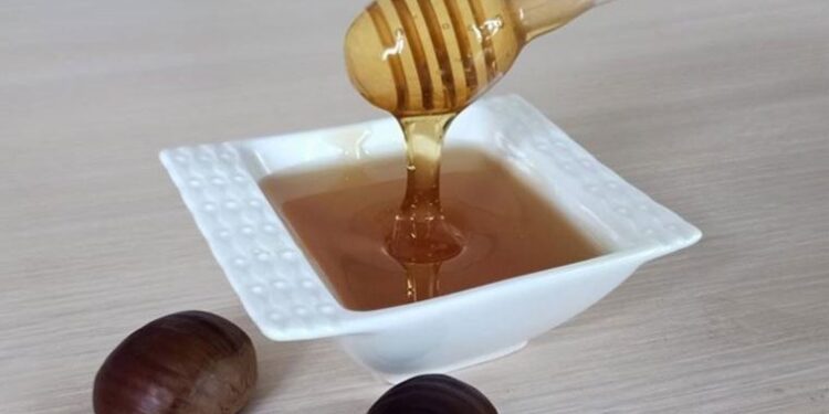 Düzce kestane balı coğrafi işaret belgesi aldı