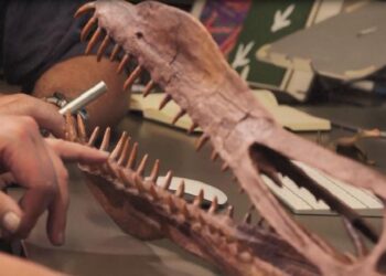 Şili’de ‘uçan ejderha’ fosili bulundu