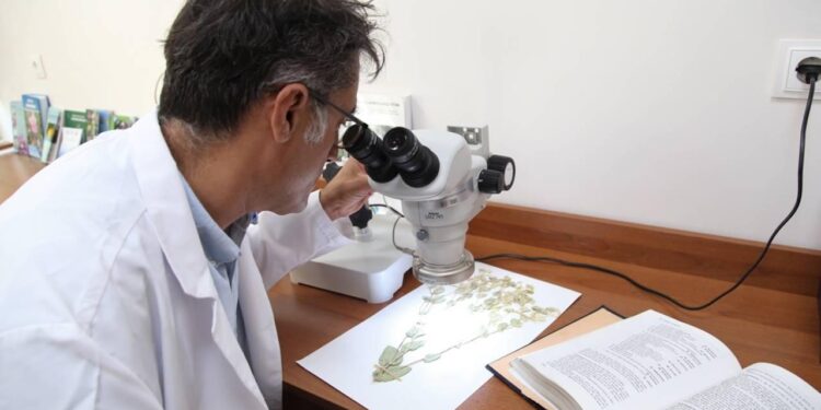 Yeni endemik bitki türü keşfedildi