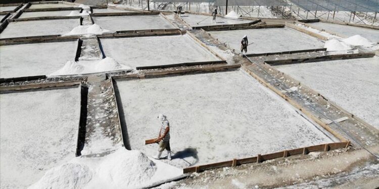 Doğal yöntemlerle çıkarılıyor… Tescillendi!
