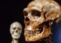 Neandertallere ait olduğu keşfedildi… 60 bin yıllık!