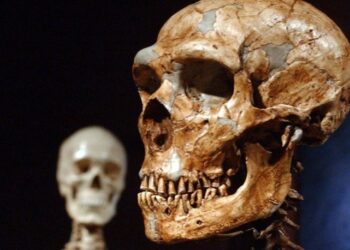 Neandertallere ait olduğu keşfedildi… 60 bin yıllık!