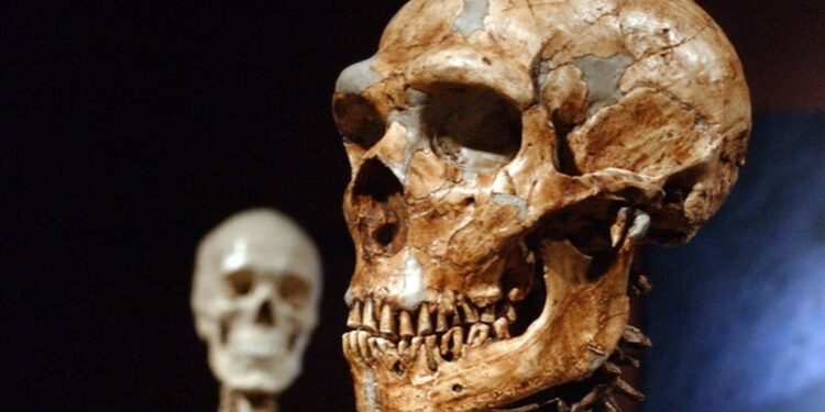 Neandertallere ait olduğu keşfedildi… 60 bin yıllık!