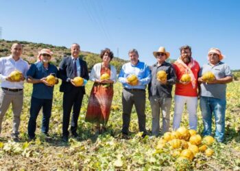 Çeşme kavunu tescillendi