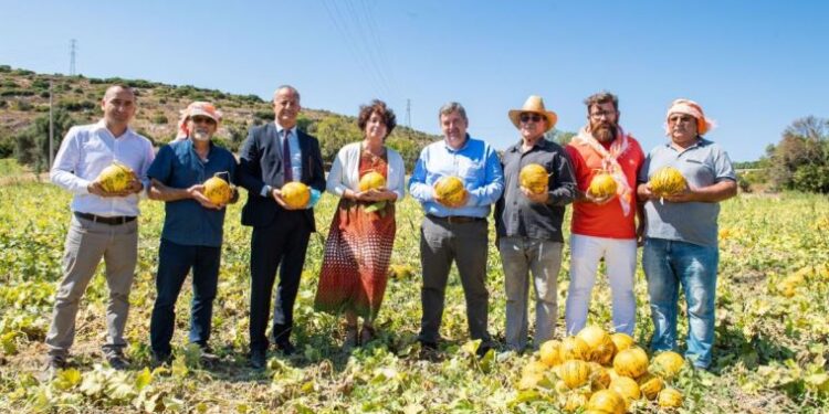 Çeşme kavunu tescillendi