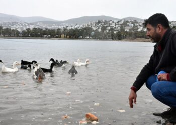 Fırıncı Orhan sokak hayvanlarına da servis yapıyor