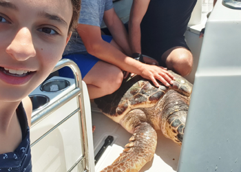 Zeynep’in dikkati, dev deniz canlısını kurtardı