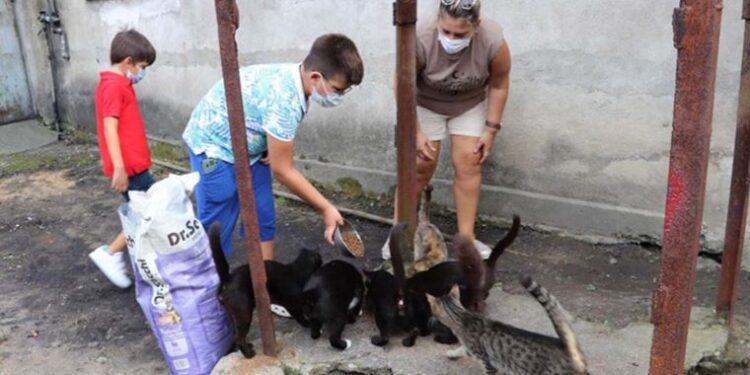 10 yaşındaki Duhan harçlıklarını biriktirerek sokak hayvanlarına destek oluyor