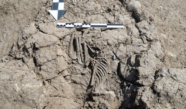 Kurtarma kazısında bulundu… Hemen korumaya alındı!