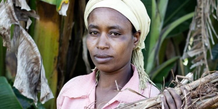 2021 Yeryüzü Fotoğrafı Ödülleri açıklandı: Etiyopyalı bir ailenin eğitimle değişen hikayesi birinci oldu